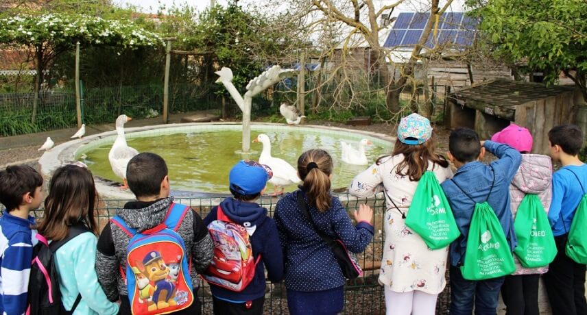 Things to do in Madeira Island with Kids - quinta pedagogica prazeres